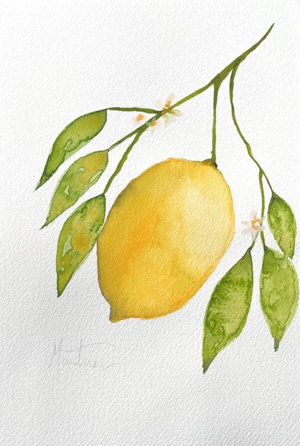 Lemon Branch