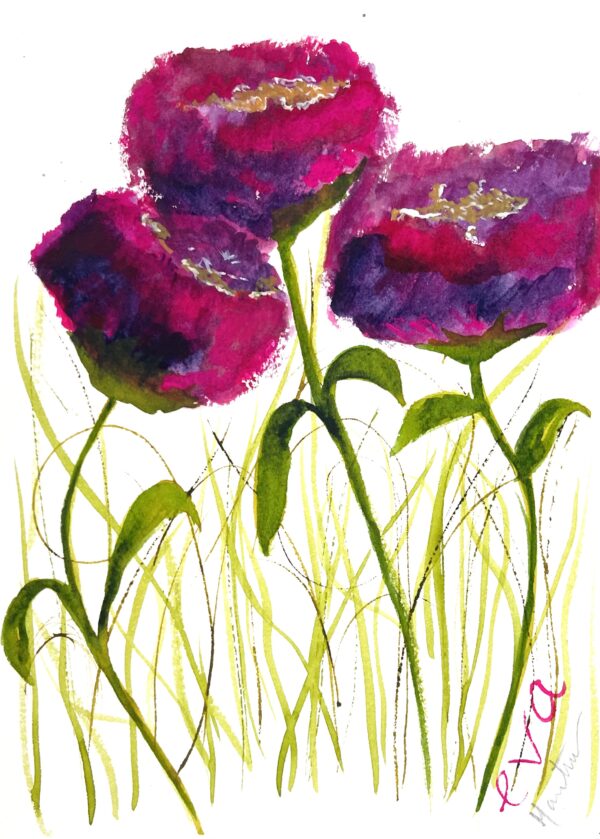 Deep Pink Peonies