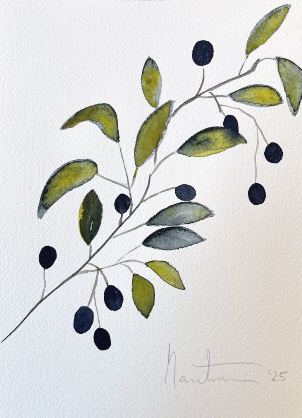 Olive Branch